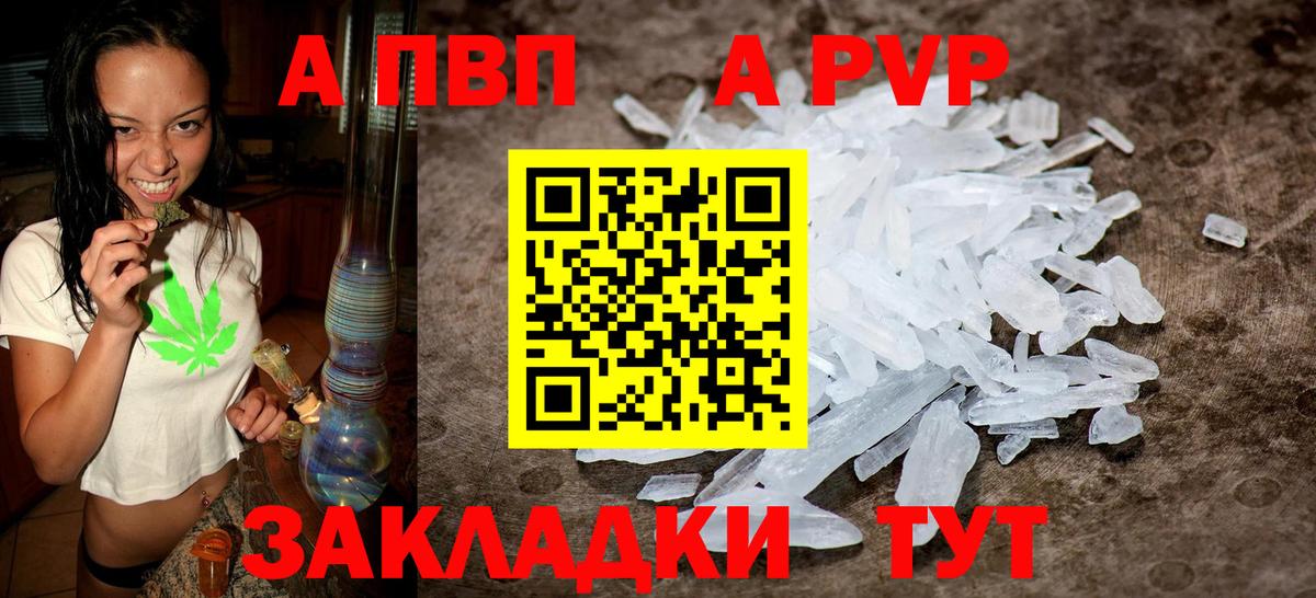 Альфа ПВП СК Камень-на-Оби